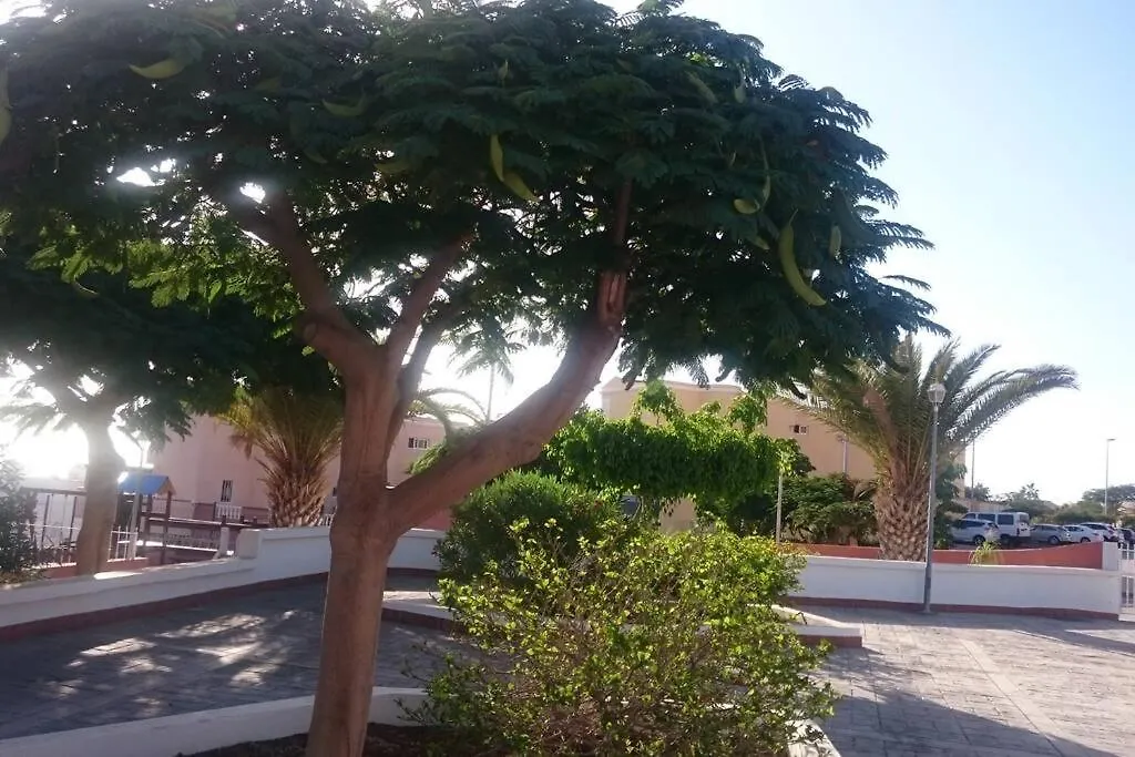 Holiday home Dream House Villa Callao Salvaje Spain